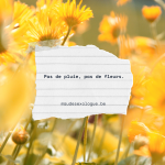 citation espoir fleurs