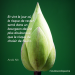 citation anaïs nin